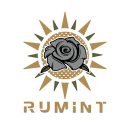 RUMINT logo
