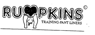 RUMPKINS TRAINING-PANT LINERS logo