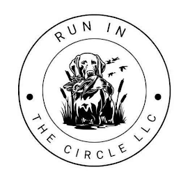 RUN IN THE CIRCLE LLC logo