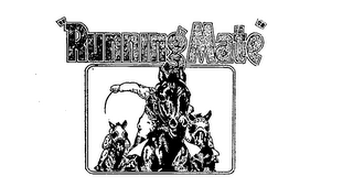 RUNNING MATE logo