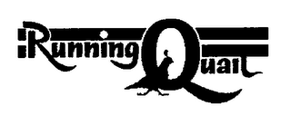 RUNNING QUAIL