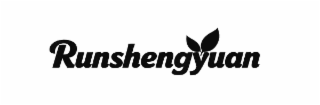 RUNSHENGYUAN logo