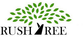 RUSHTREE logo