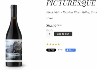 RUSSIAN RIVER VALLEY PICTURESQUE PINOT NOIR logo