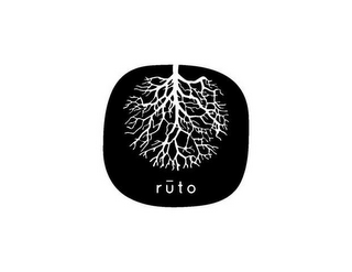 RUTO logo