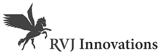 RVJ INNOVATIONS logo
