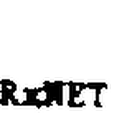 RXNET