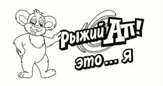 RYZHYI AP logo