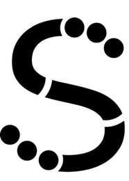 S logo