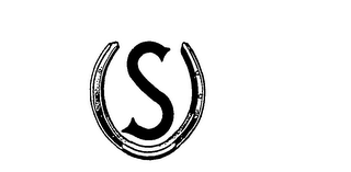 S logo