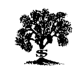 S logo