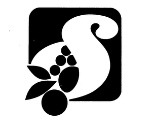 S logo