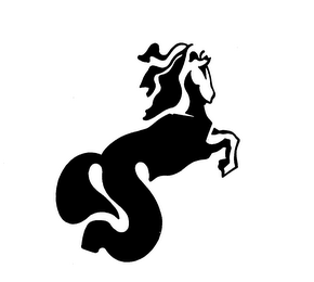 S logo