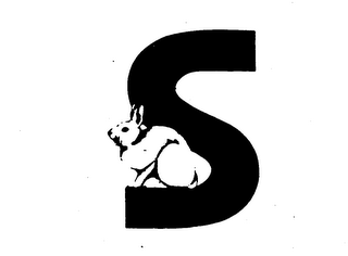S logo