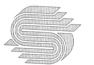 S logo