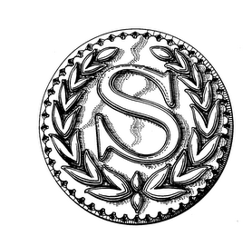 S logo