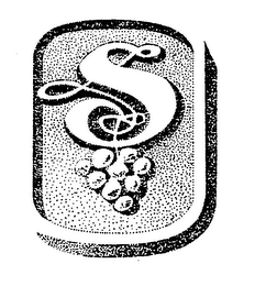 S logo