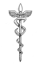 S logo