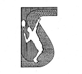 S logo