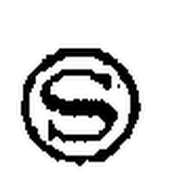 S logo