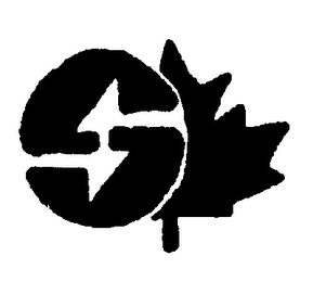 S logo
