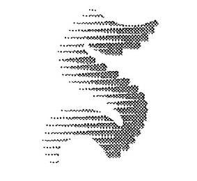 S logo