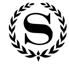 S logo