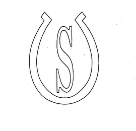S logo
