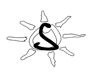 S logo