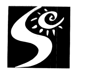 S logo