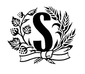 S logo