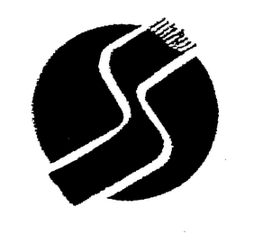 S logo