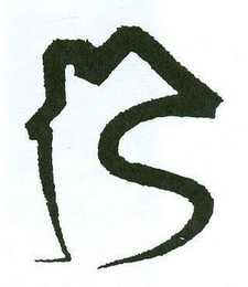 S logo