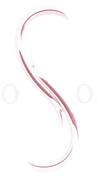 S logo