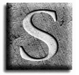 S logo
