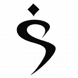 S logo