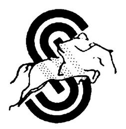 S logo