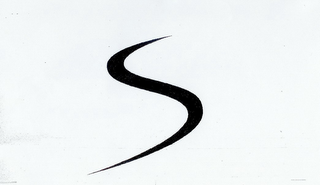 S logo