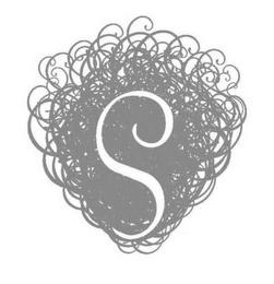 S logo