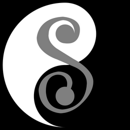 S logo