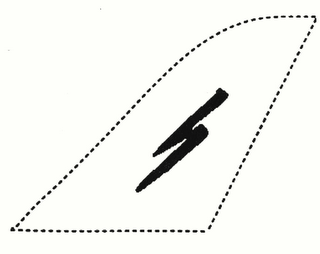 S logo