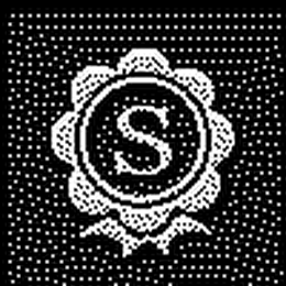 S logo