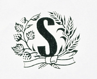 S logo