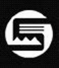 S logo