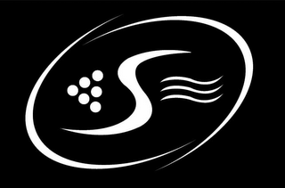 S logo