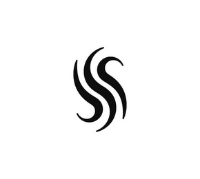 S logo