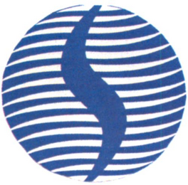 S logo