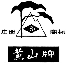 S logo