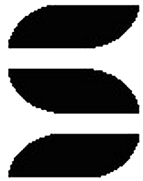 S logo