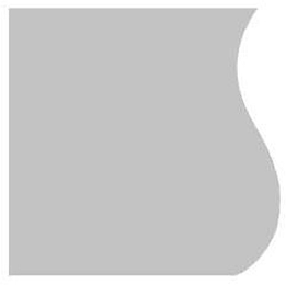 S logo